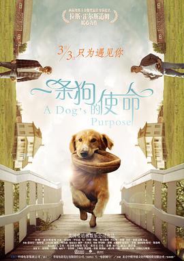 大片免费35分钟观看视频