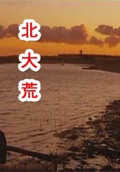 国产成人精品无缓存在线播放